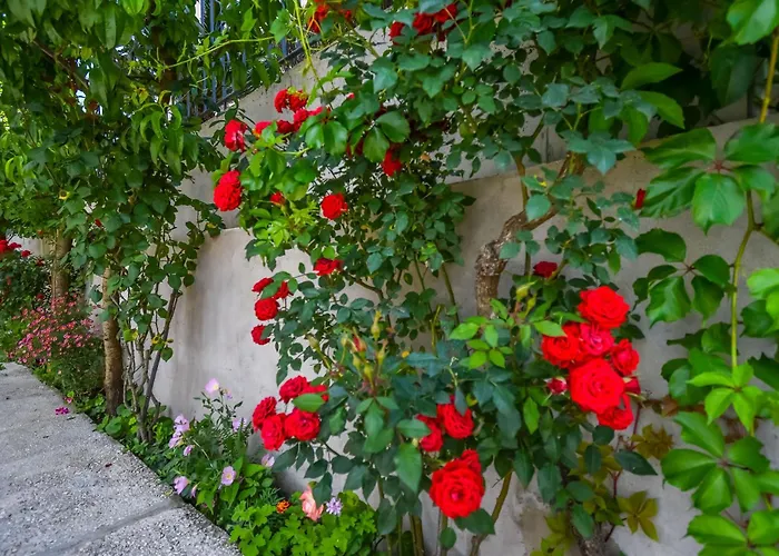 Apartament Tonka Donji Okrug (Ciovo)
